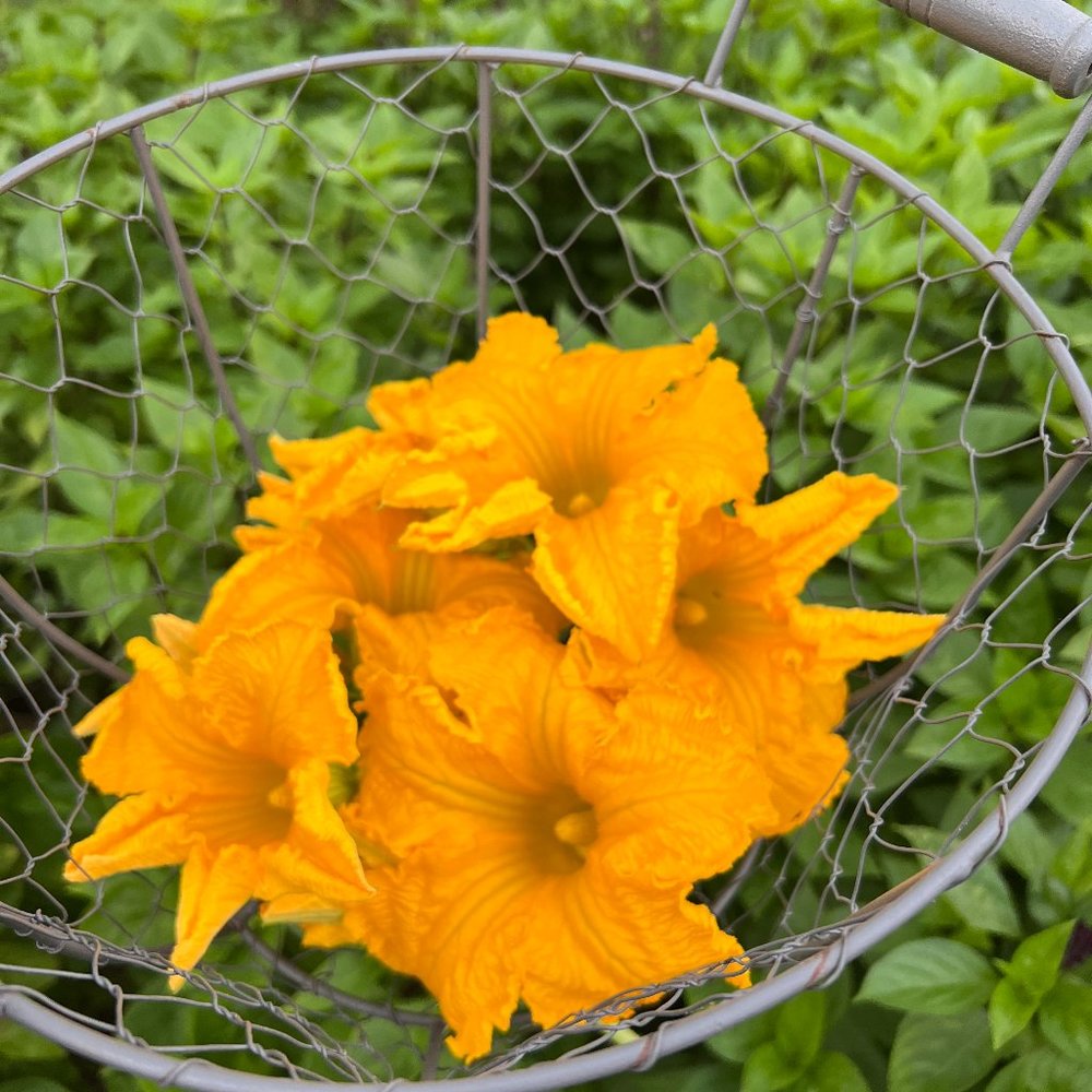 Meet your Posher, Yvonne